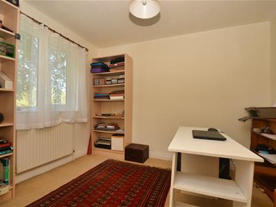 Picture 15